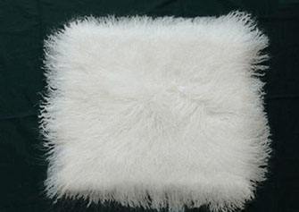 要想皮毛白度提升，應(yīng)選擇哪種增白劑